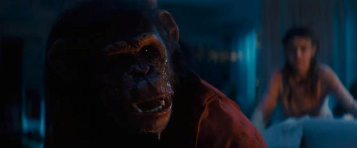 A still from the movie Primate